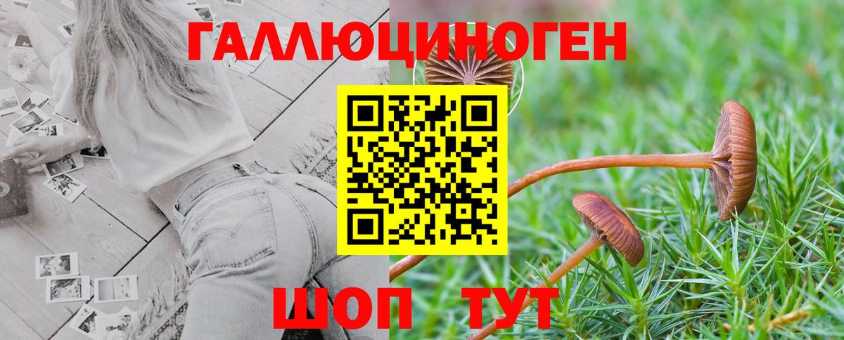 Саянск  Галлюциногенные грибы Psilocybine cubensis  Псилоцибиновые грибы Psilocybe  Вход с VPN 