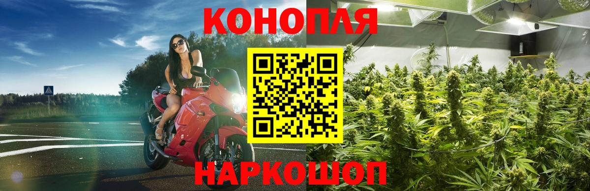 Бошки Шишки OG Kush Саянск